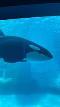 名古屋港水族館に投稿された画像（2022/1/29）