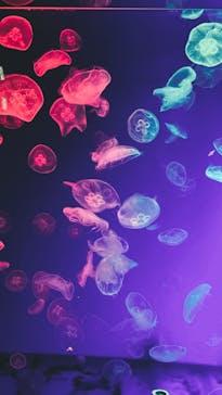 名古屋港水族館に投稿された画像（2022/1/29）