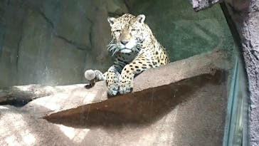 那須どうぶつ王国に投稿された画像（2022/1/29）