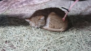 那須どうぶつ王国に投稿された画像（2022/1/29）