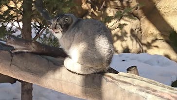 那須どうぶつ王国に投稿された画像（2022/1/29）