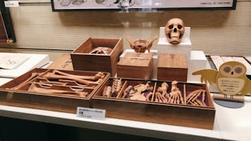 国立科学博物館に投稿された画像（2022/1/29）