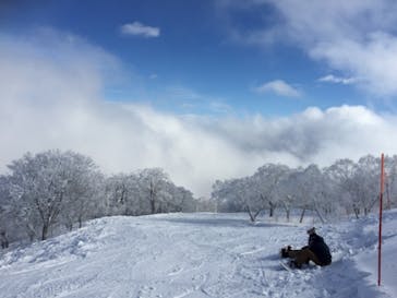 野沢温泉スキー場に投稿された画像（2022/1/29）
