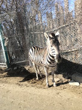 群馬サファリパークに投稿された画像（2022/1/29）