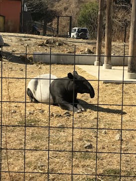 群馬サファリパークに投稿された画像（2022/1/29）