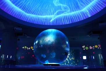 新江ノ島水族館に投稿された画像（2022/1/29）