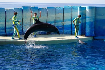 新江ノ島水族館に投稿された画像（2022/1/29）