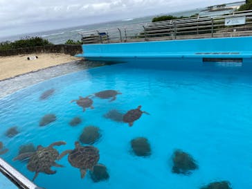 沖縄美ら海水族館に投稿された画像（2022/1/29）