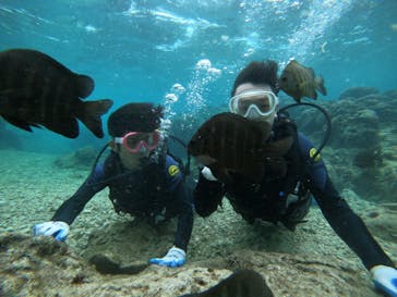 武藤潜水に投稿された画像（2022/1/29）