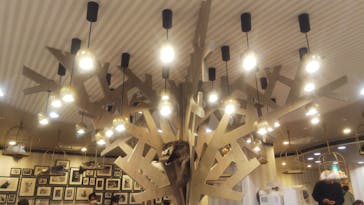 猫カフェモカ　立川店に投稿された画像（2022/1/29）