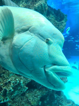 サンシャイン水族館に投稿された画像（2022/1/29）