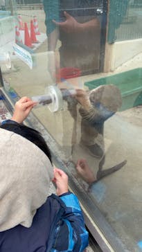 しろとり動物園に投稿された画像（2022/1/29）