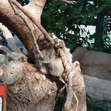 神戸どうぶつ王国に投稿された画像（2022/1/29）