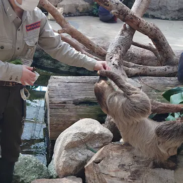 神戸どうぶつ王国に投稿された画像（2022/1/29）