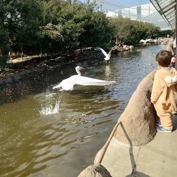 神戸どうぶつ王国に投稿された画像（2022/1/29）