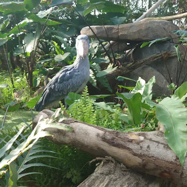 神戸どうぶつ王国に投稿された画像（2022/1/29）