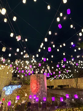 ひらかたパークに投稿された画像（2022/1/29）