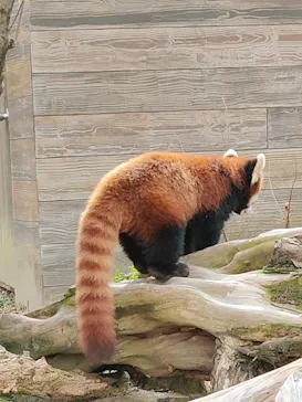 ひらかたパークに投稿された画像（2022/1/29）