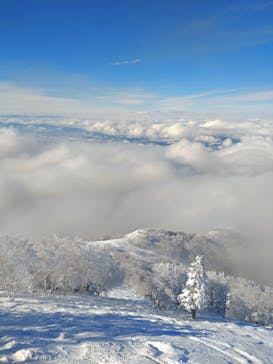 竜王スキーパークに投稿された画像（2022/1/29）