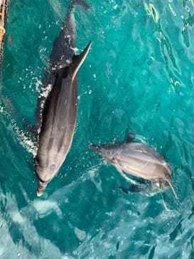 伊豆・三津シーパラダイスに投稿された画像（2022/1/29）