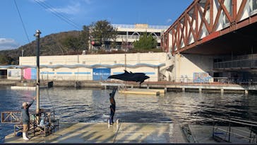 伊豆・三津シーパラダイスに投稿された画像（2022/1/29）