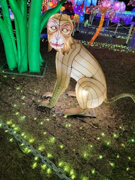 東武動物公園に投稿された画像（2022/1/29）