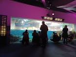 新江ノ島水族館に投稿された画像（2022/1/29）