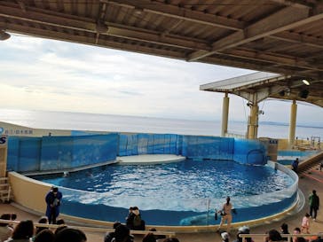 新江ノ島水族館に投稿された画像（2022/1/29）