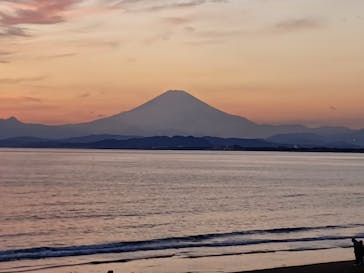 新江ノ島水族館に投稿された画像（2022/1/29）