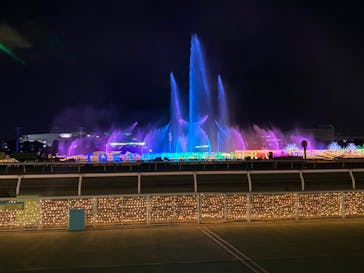 東京メガイルミに投稿された画像（2022/1/29）