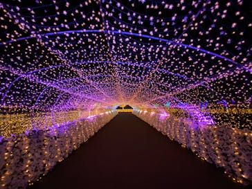 東京メガイルミに投稿された画像（2022/1/29）