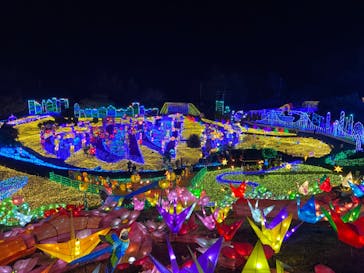 伊豆ぐらんぱる公園に投稿された画像（2022/1/29）