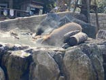 伊豆シャボテン動物公園に投稿された画像（2022/1/29）