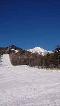 サンメドウズ清里に投稿された画像（2022/1/29）