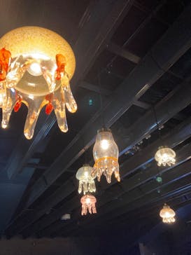 京都水族館に投稿された画像（2022/1/29）