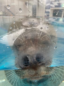 京都水族館に投稿された画像（2022/1/29）