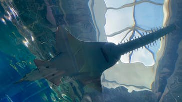 マクセル アクアパーク品川に投稿された画像（2022/1/29）