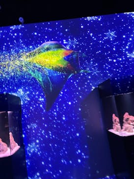 マクセル アクアパーク品川に投稿された画像（2022/1/29）