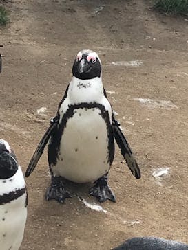 名古屋港水族館に投稿された画像（2022/1/29）