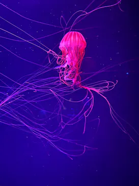 すみだ水族館に投稿された画像（2022/1/29）