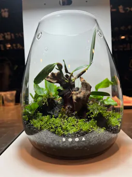 すみだ水族館に投稿された画像（2022/1/29）