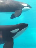 名古屋港水族館に投稿された画像（2022/1/30）