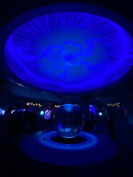 新江ノ島水族館に投稿された画像（2022/1/29）