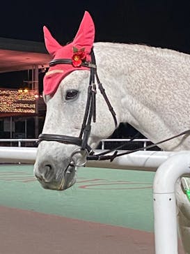 東京メガイルミに投稿された画像（2022/1/29）