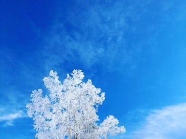 竜王スキーパークに投稿された画像（2022/1/29）