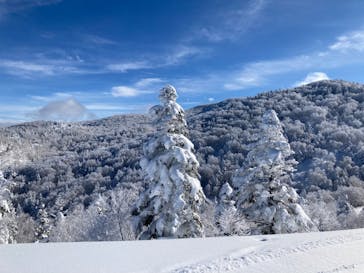 竜王スキーパークに投稿された画像（2022/1/29）