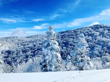 竜王スキーパークに投稿された画像（2022/1/29）