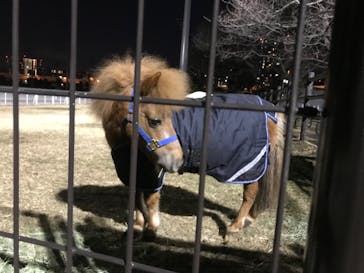 東京メガイルミに投稿された画像（2022/1/30）