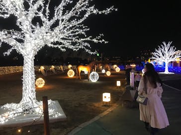 東京メガイルミに投稿された画像（2022/1/30）