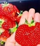 井上寅雄農園に投稿された画像（2022/1/30）